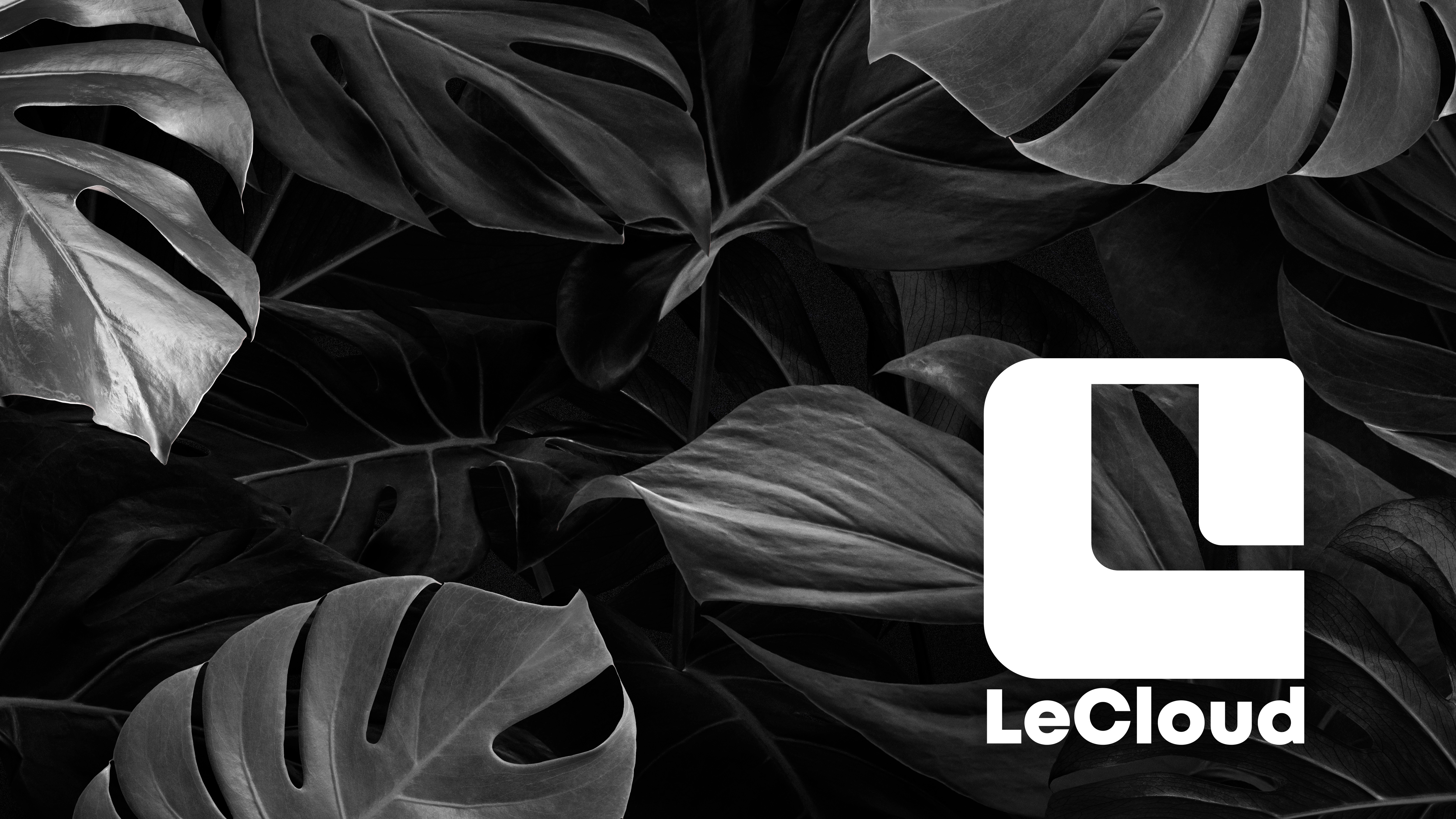 LECLOUD — Never lose.